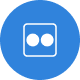 Flickr Icon