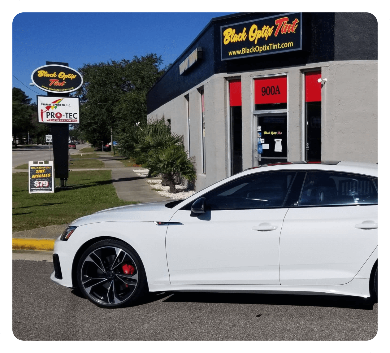 LEADERS IN CUSTOM TINTING SOLUTIONS